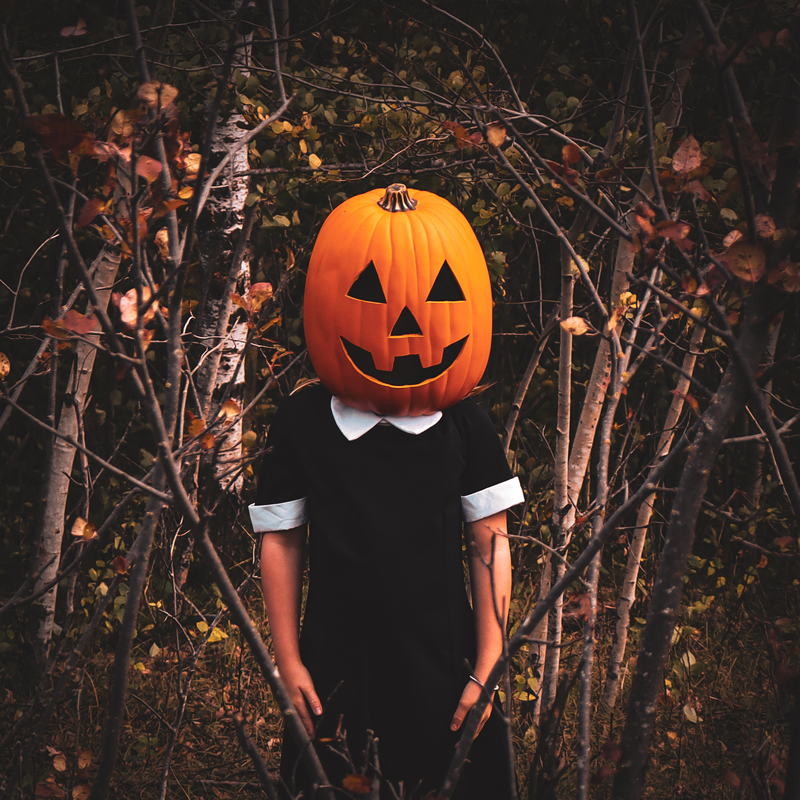 Pumpkin by Madison Perry